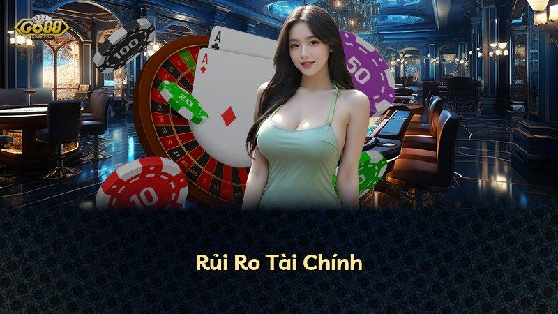 Rủi Ro Tài Chính